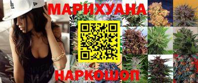 прущие грибы Будённовск