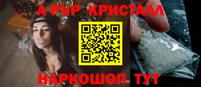 прущие грибы Будённовск