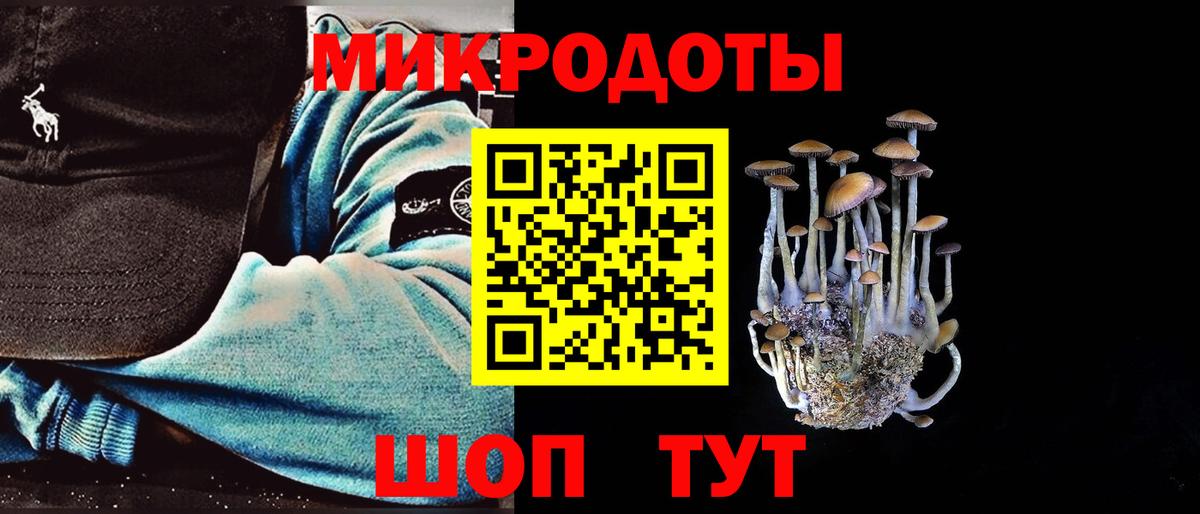 Галлюциногенные грибы MAGIC MUSHROOMS Элиста