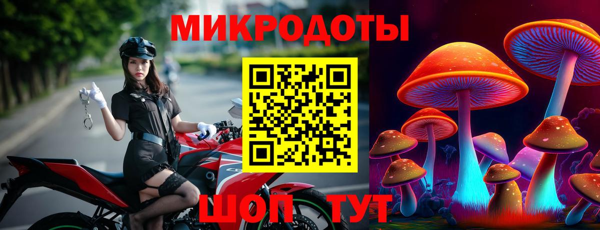 закладка  Псилоцибиновые грибы прущие грибы  Вход с VPN  Псилоцибиновые грибы GOLDEN TEACHER  Элиста 
